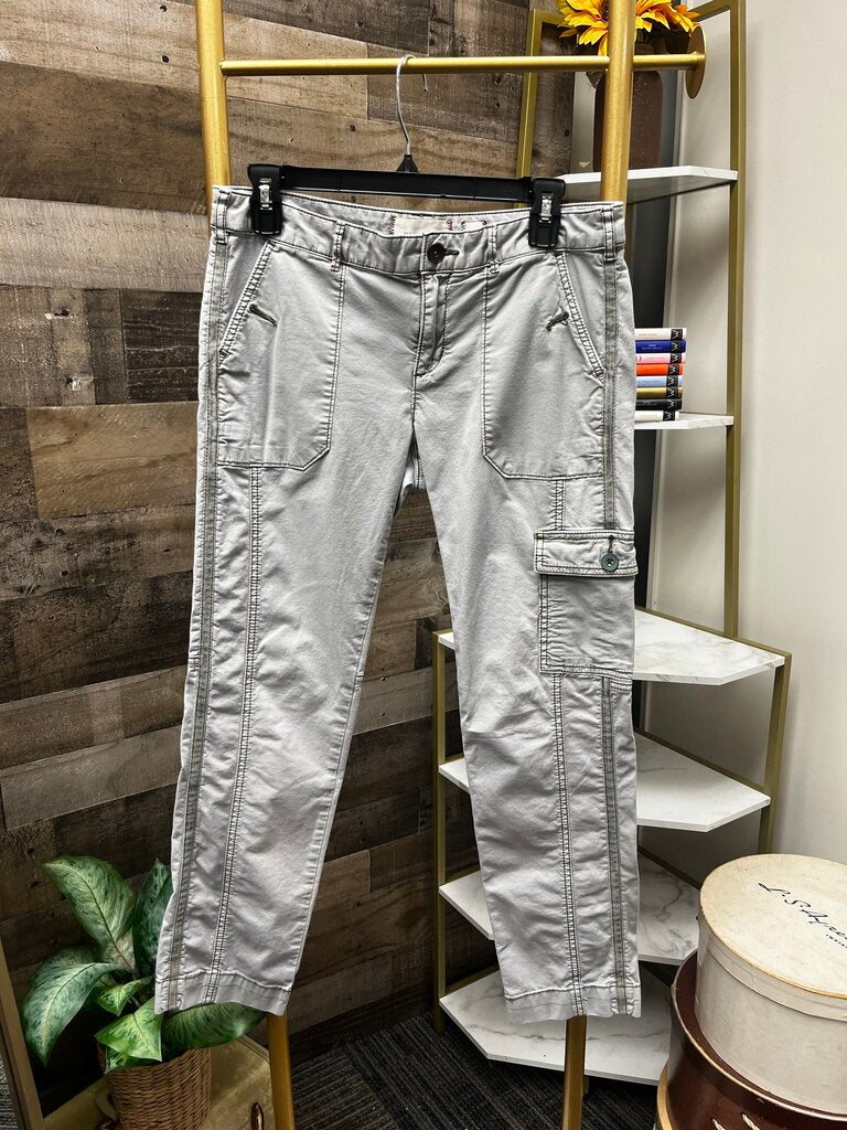 Anthro Hei Gray Cargo Chino Size 2