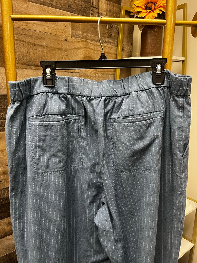 Banana Republic Wide Leg Striped Pants Size XL