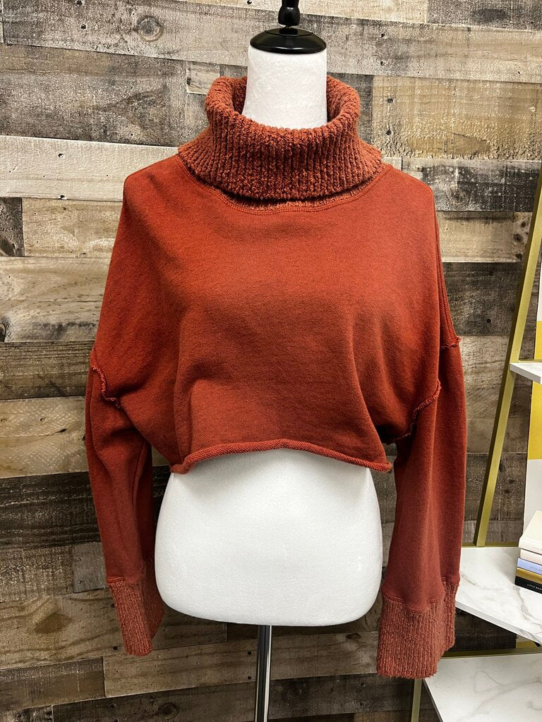 Anthropologie Cropped Burnt Orange Turtleneck Sweater/Hoodie