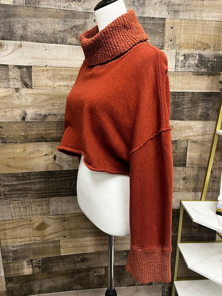 Anthropologie Cropped Burnt Orange Turtleneck Sweater/Hoodie