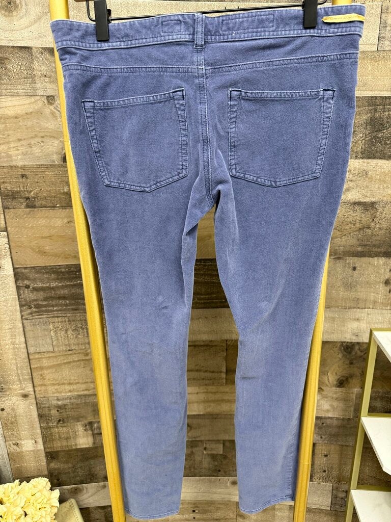 Anthro Pilcro Blue Ribbed Stretch Velvet Leggings