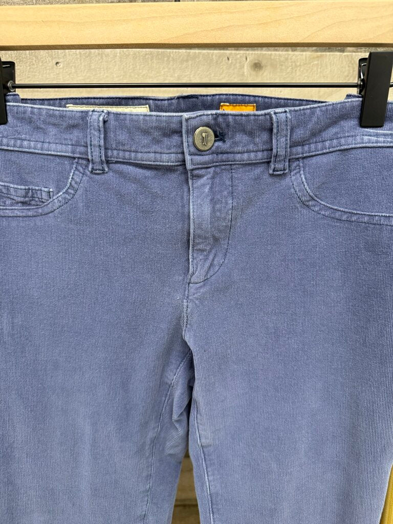 Anthro Pilcro Blue Ribbed Stretch Velvet Leggings