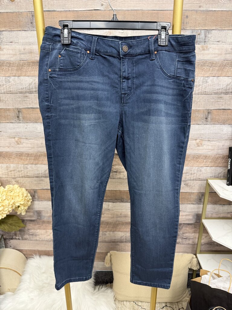 Blue Laurie Felt Las Angeles Skinny Jeans