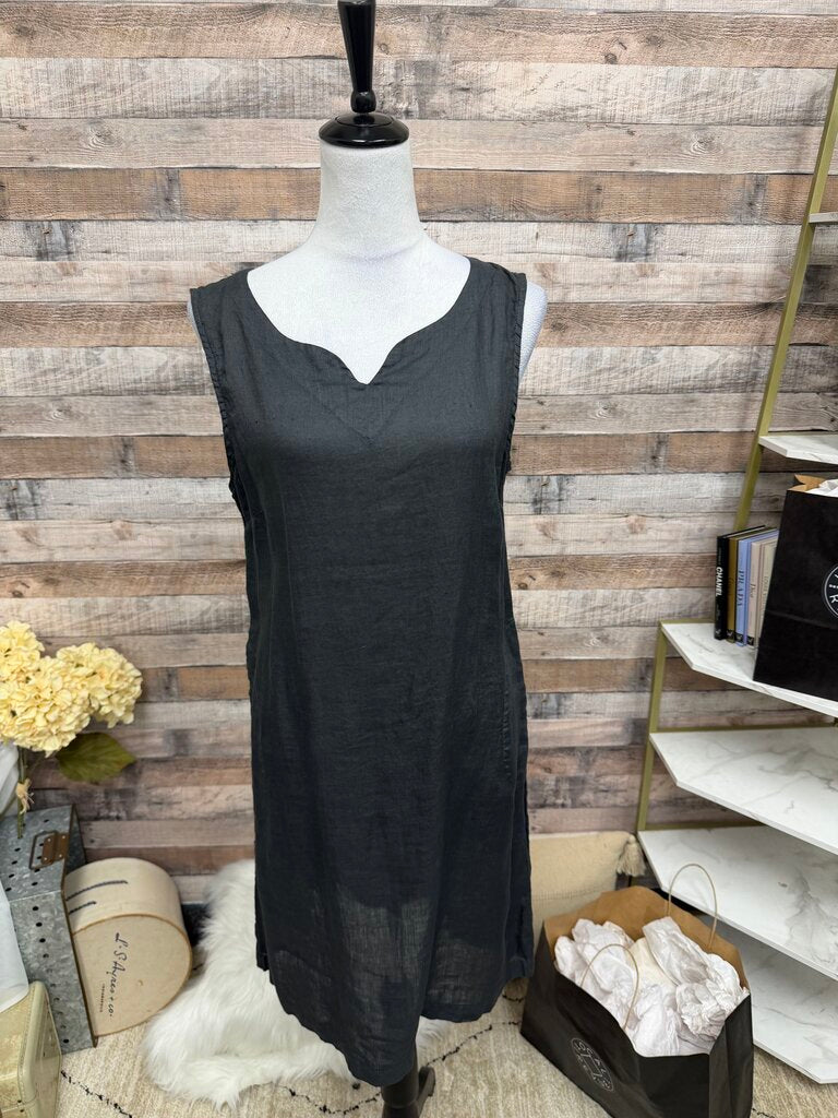 CP Shades Black Sleeveless Shift Dress M