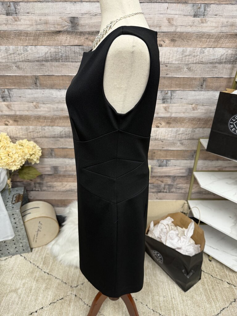 Ann Taylor Black Sleeveless Sheath Dress