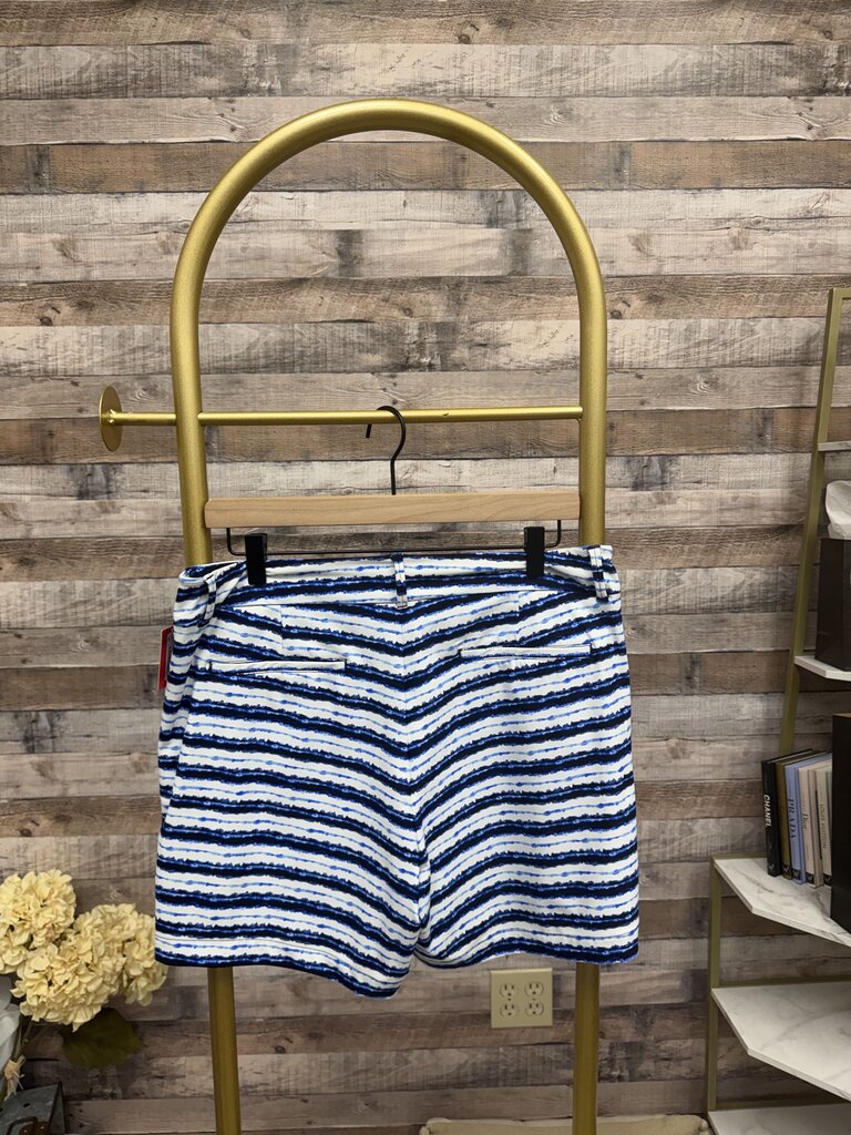 NWT Spanx Blue/White Stripe Design Shorts
