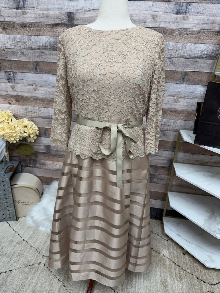 Alex Evening Tan Lace & Satin Stripe Dress