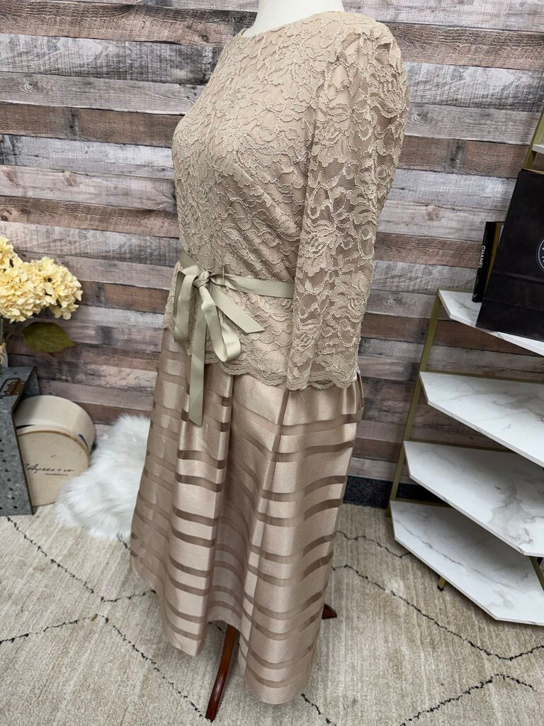 Alex Evening Tan Lace & Satin Stripe Dress