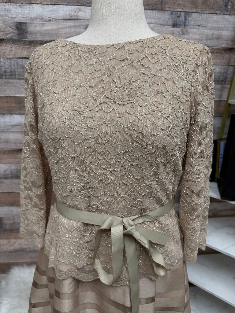 Alex Evening Tan Lace & Satin Stripe Dress