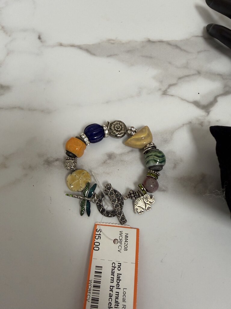 no label multi stone/silver charm bracelet