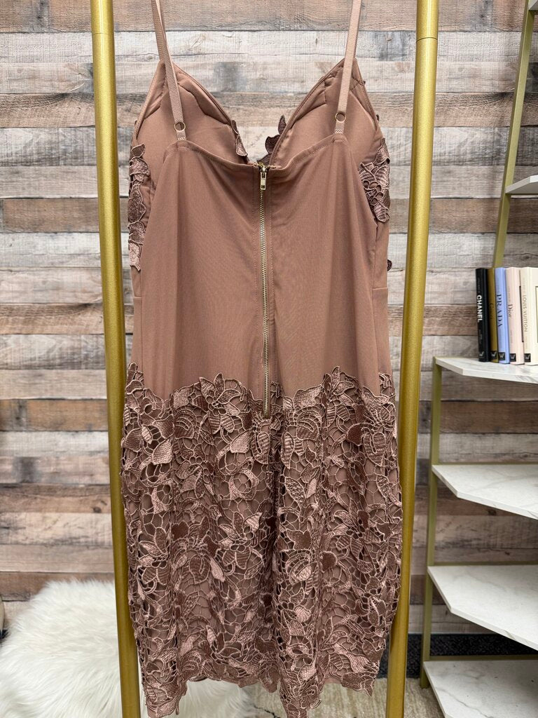 Windsor rose Loved in Lace mini dress NWT