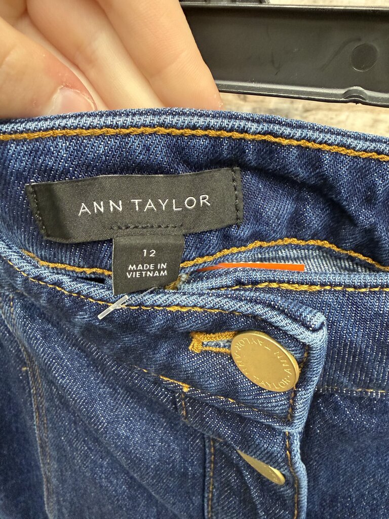 Ann Taylor Blue Jean A Line Long Skirt W/ Buttons