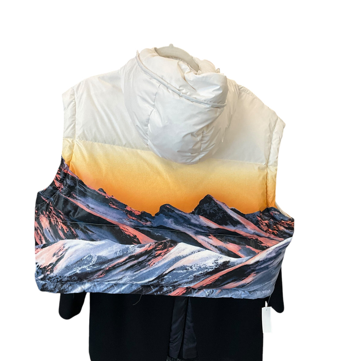 SIZE 38 Louis Vuitton Vest