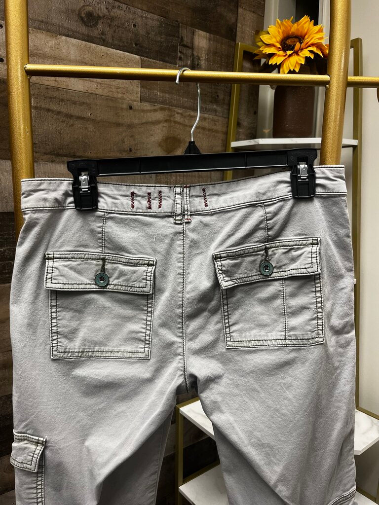 Anthro Hei Gray Cargo Chino Size 2