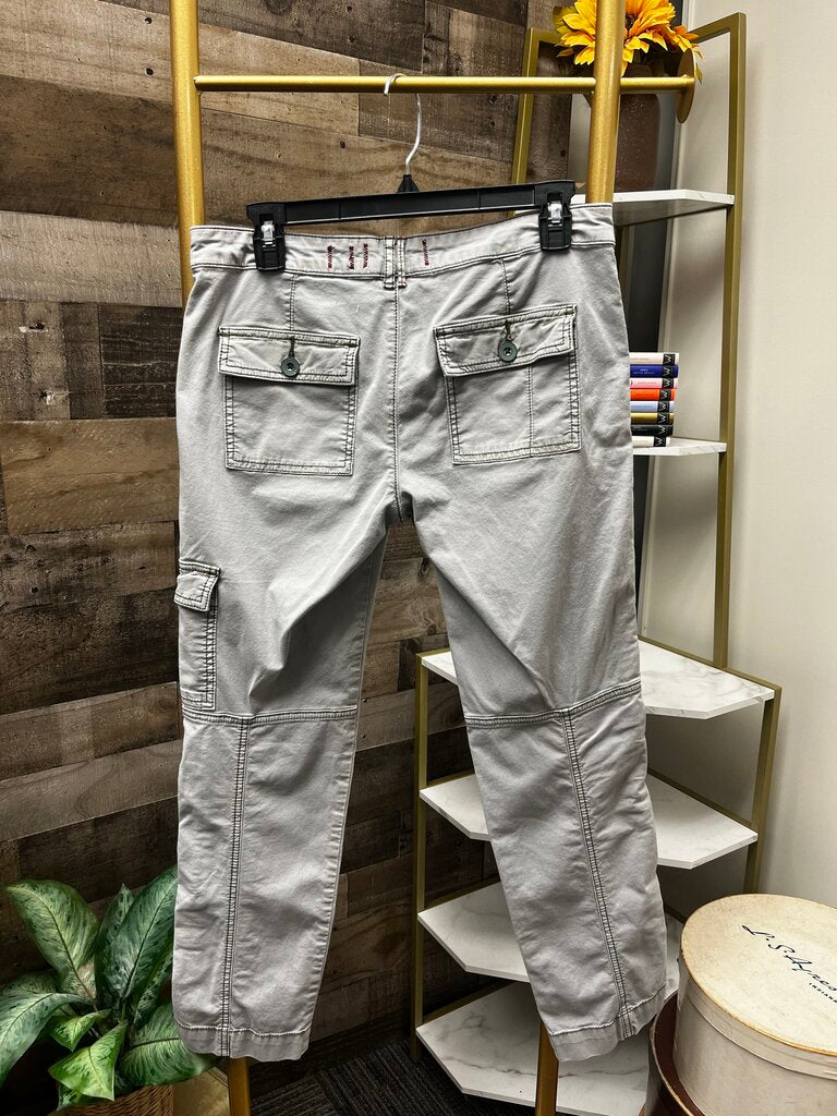 Anthro Hei Gray Cargo Chino Size 2