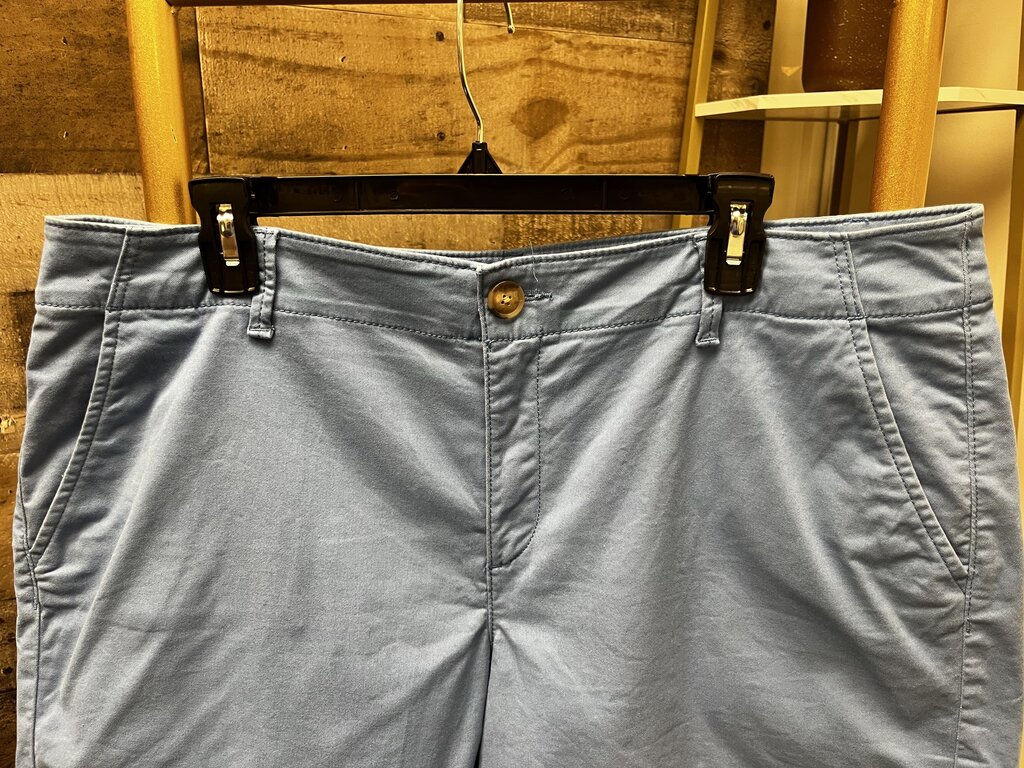 The Loft Washed Twill Short 4" Size 14