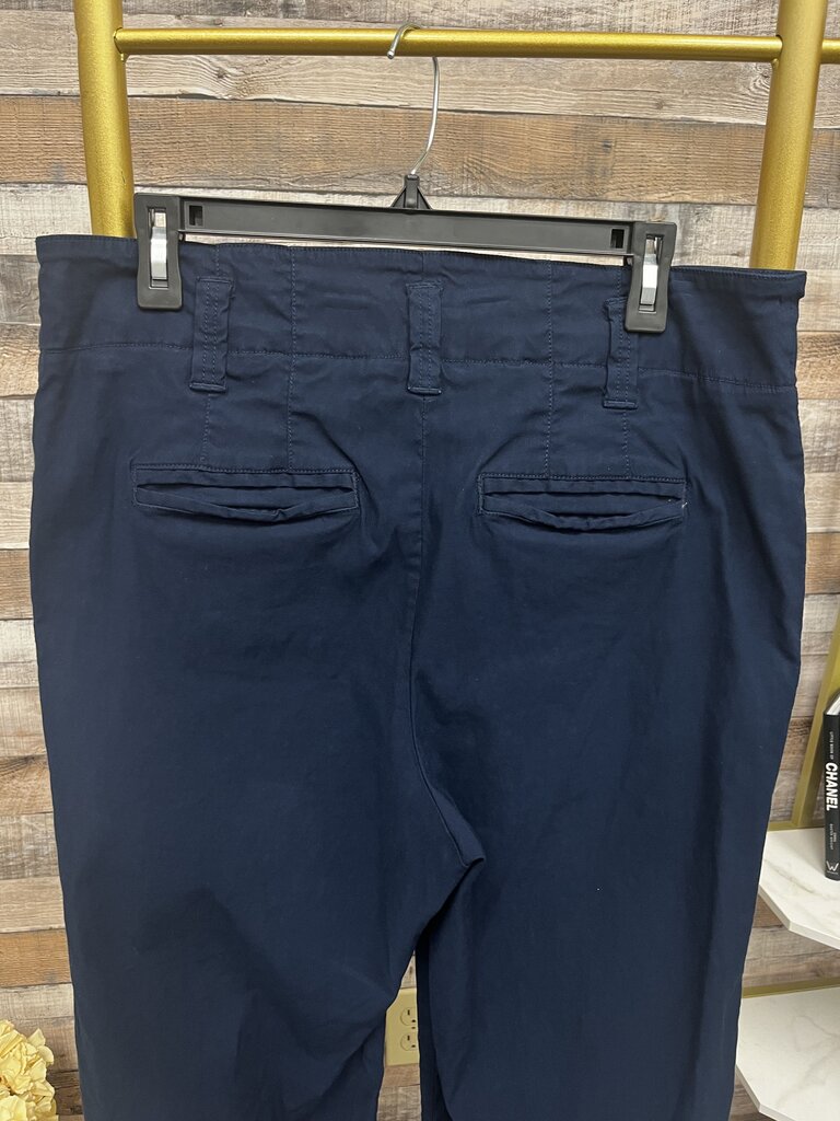 The Colette Navy Cropped Wide-Leg Pants by Maeve Size 16