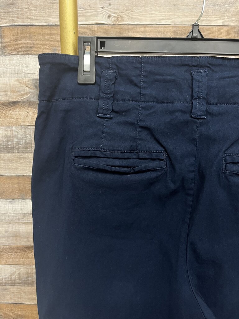 The Colette Navy Cropped Wide-Leg Pants by Maeve Size 16