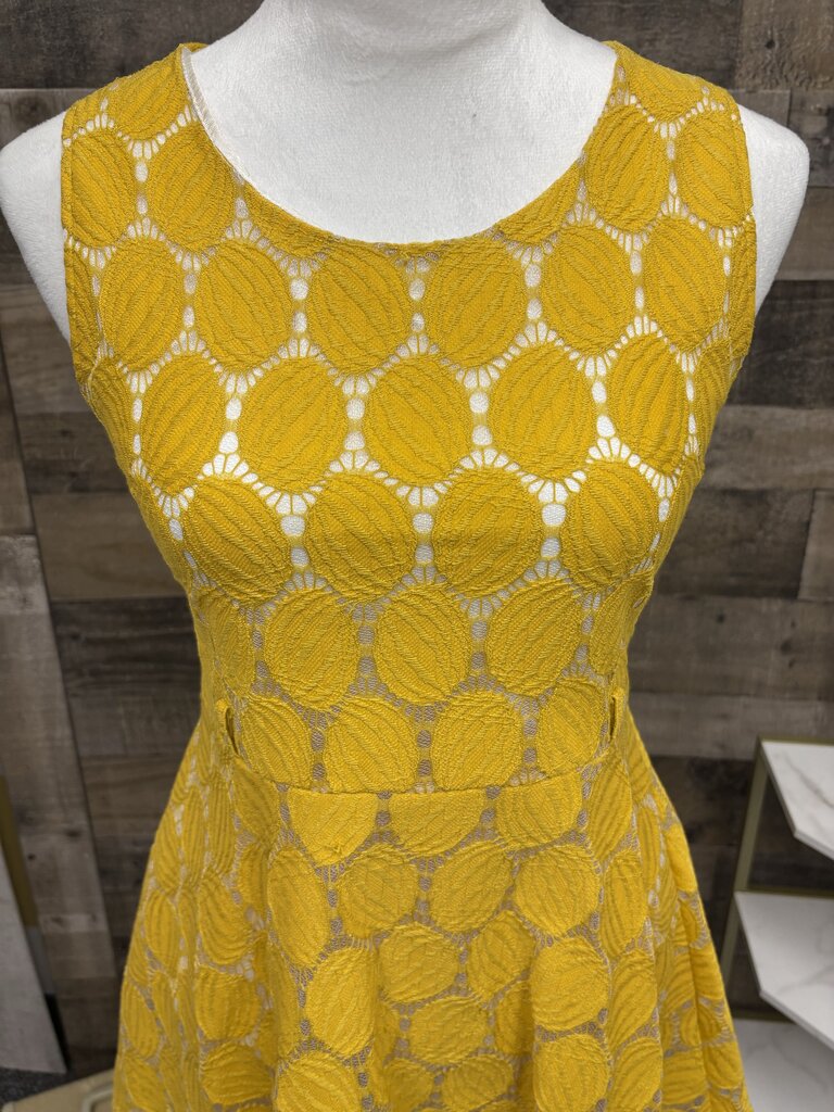 Yellow & White Lace Patterned Mini Dress