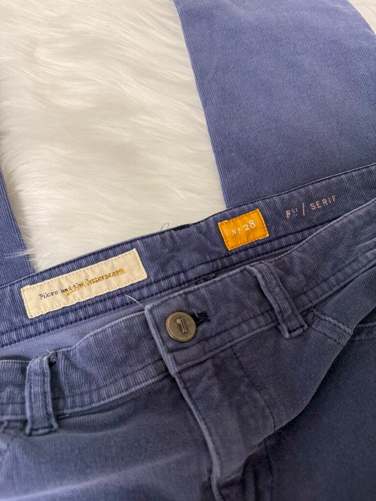 Anthro Pilcro Blue Ribbed Stretch Velvet Leggings