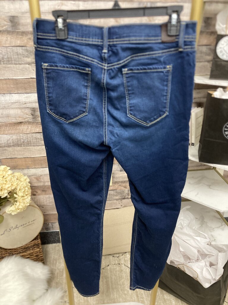 Level 99 Dark Wash Skinny Jeans