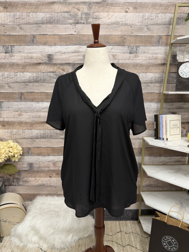 Pleione Black Sheer Tie-Front V-Neck Blouse