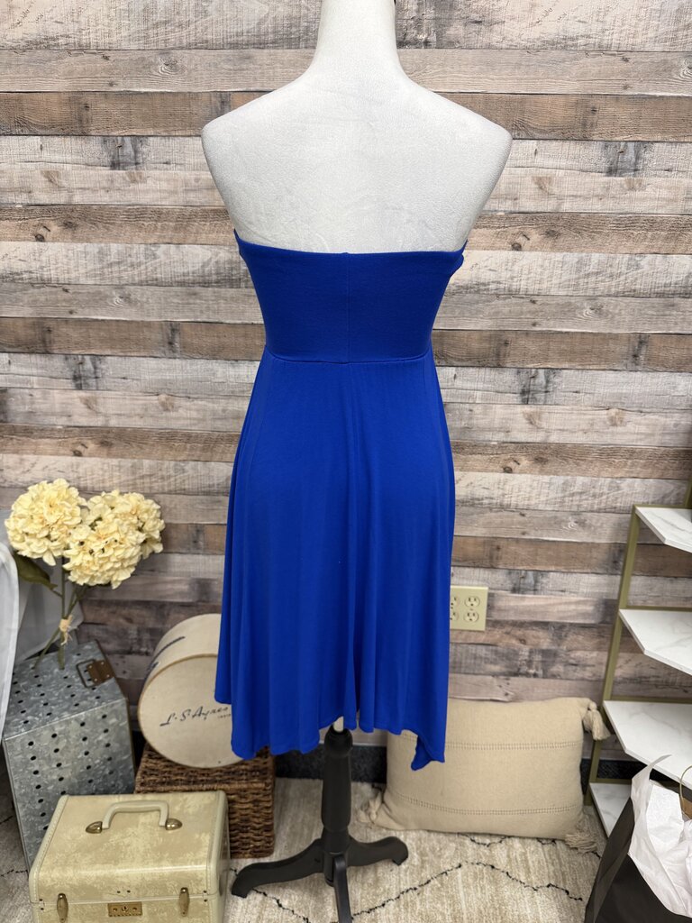 Express Blue Jersey Knit Tube Dress