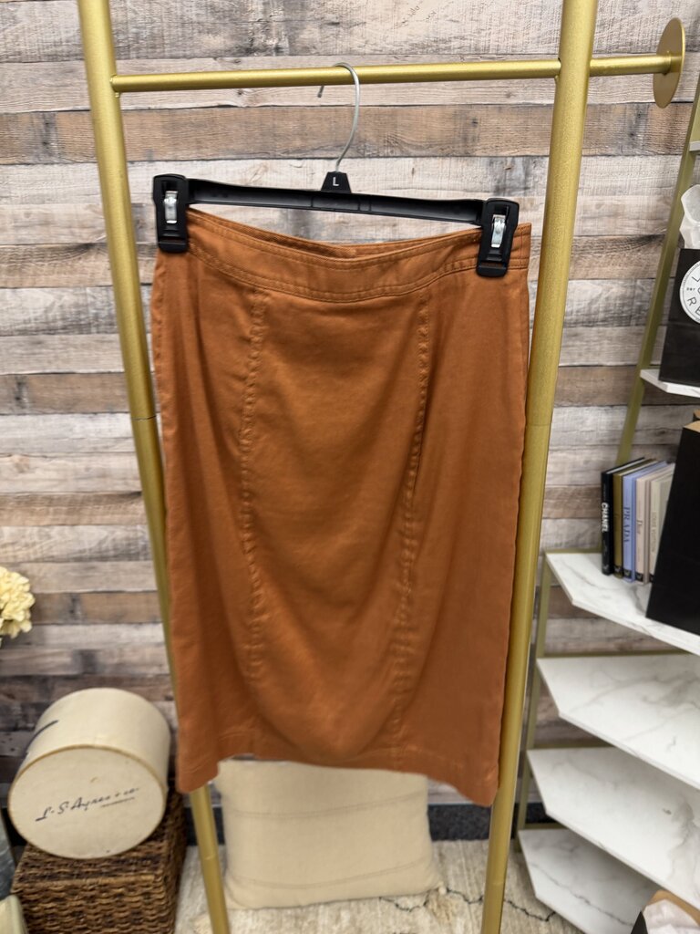 Banana Republic Rust Button Down Skirt