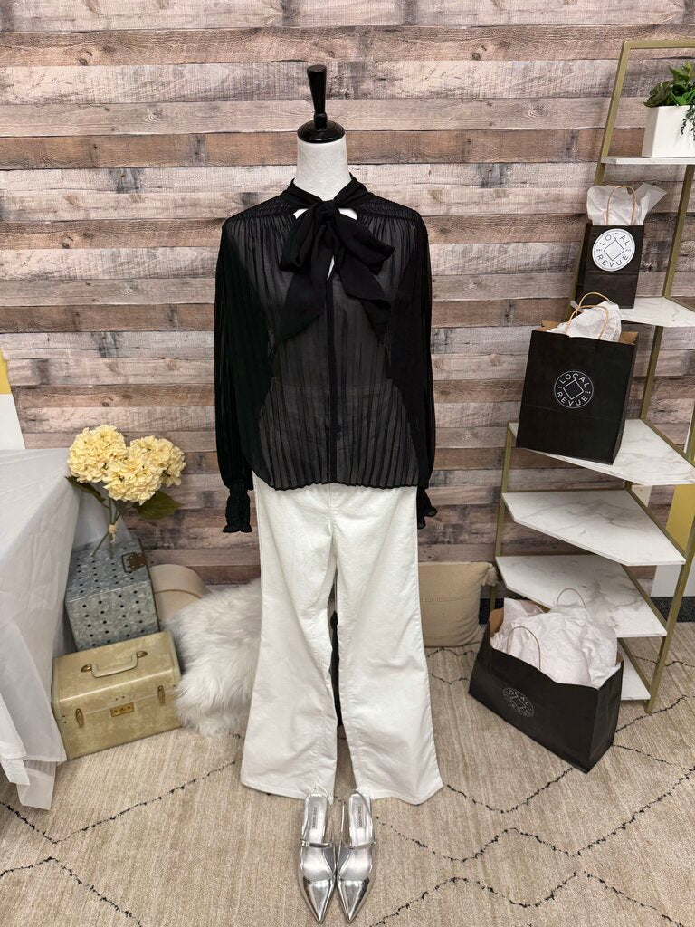 Banana Republic Black Sheer Pleated Blouse Tie Front