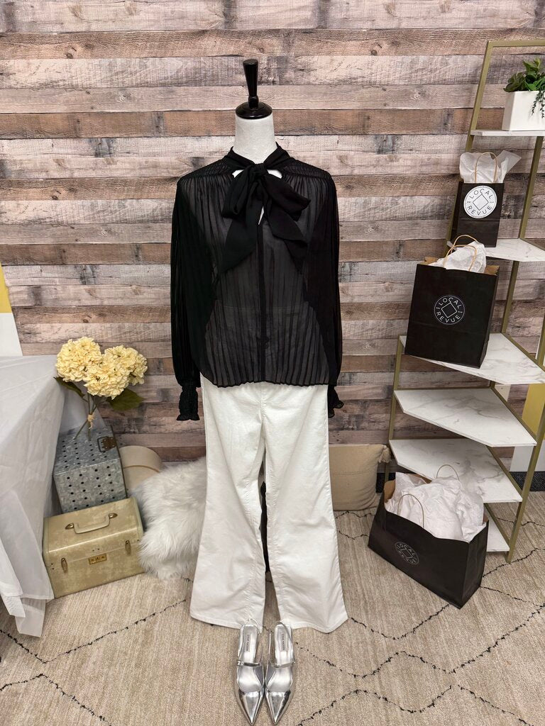 Banana Republic Black Sheer Pleated Blouse Tie Front