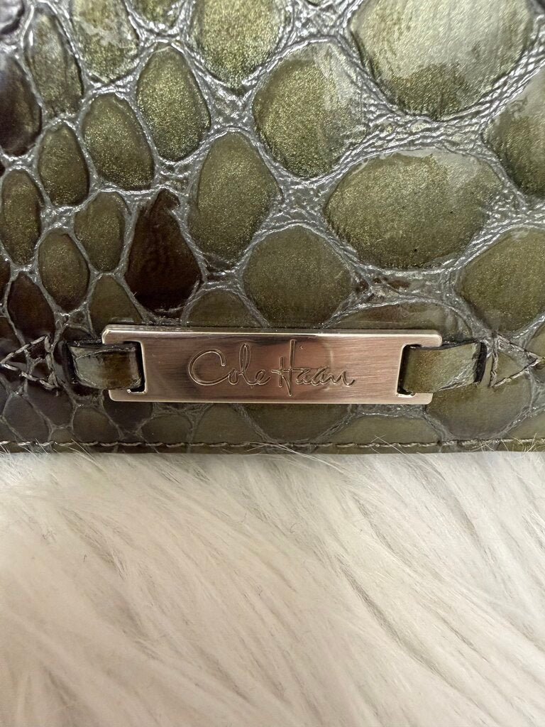 Green Cole Haan Faux Python Leather Clutch And Wallet Set
