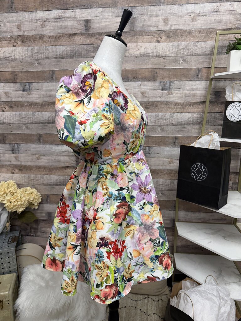 Multi Color Floral Print Sachin & Babi Puff Sleeve Mini Dress