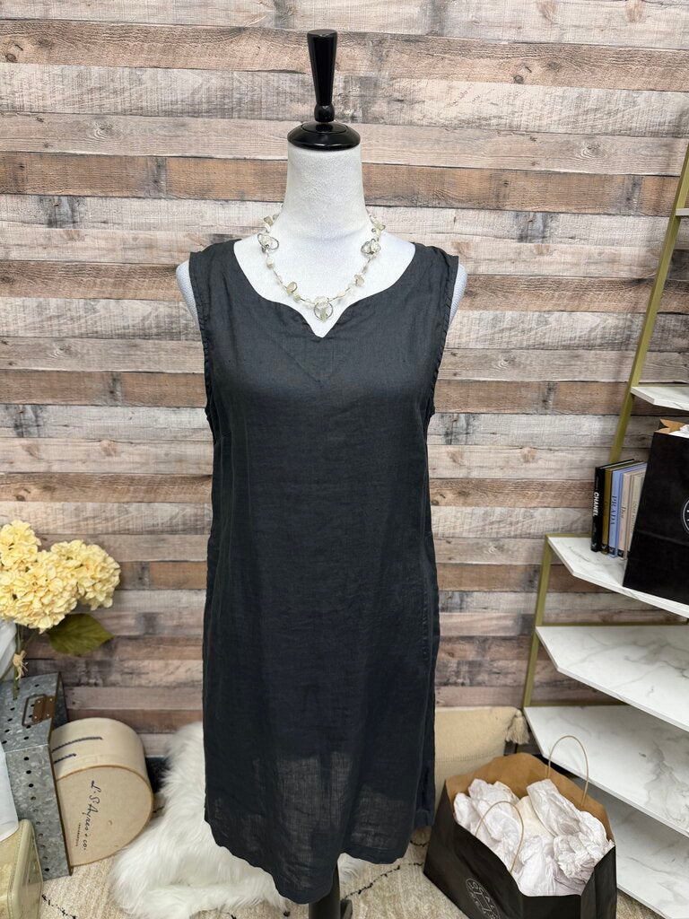 CP Shades Black Sleeveless Shift Dress M