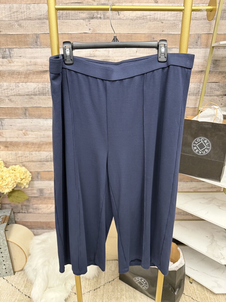 J.Jill Navy Pull-On Pants 2X