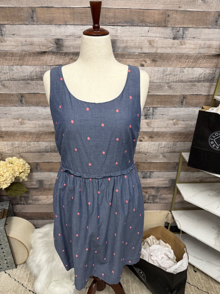 LOFT Blue & Pink Polka Dots Embroidery Dress