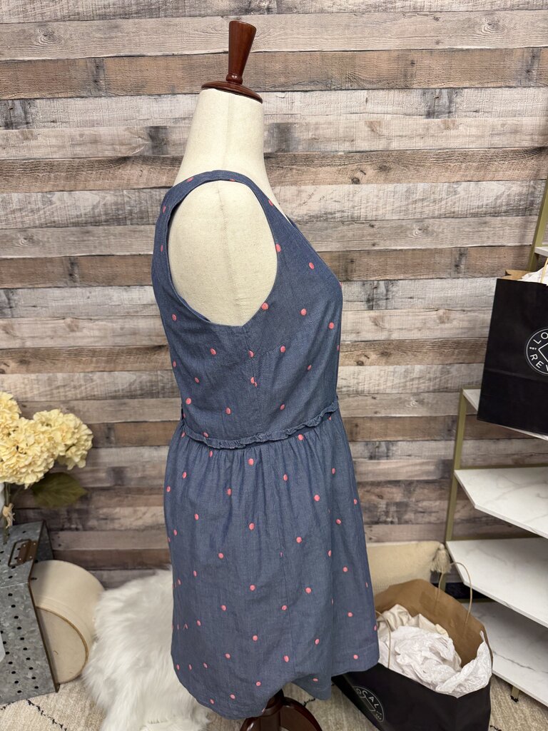 LOFT Blue & Pink Polka Dots Embroidery Dress