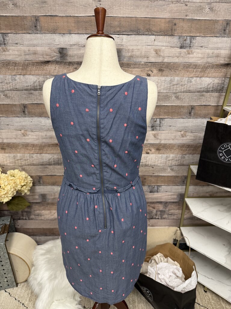 LOFT Blue & Pink Polka Dots Embroidery Dress