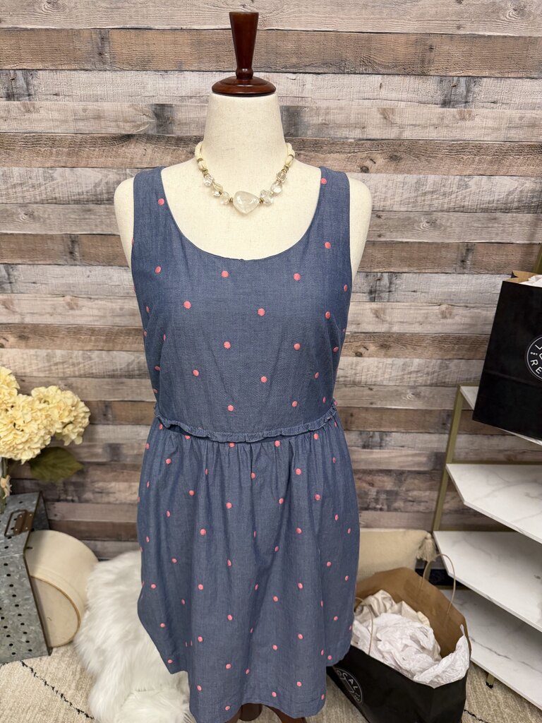 LOFT Blue & Pink Polka Dots Embroidery Dress
