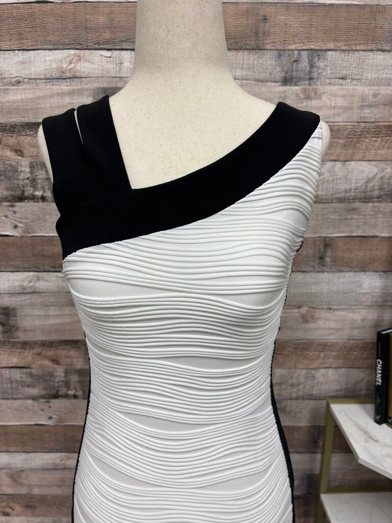 Hartly Black & White Color Block Spandex Dress