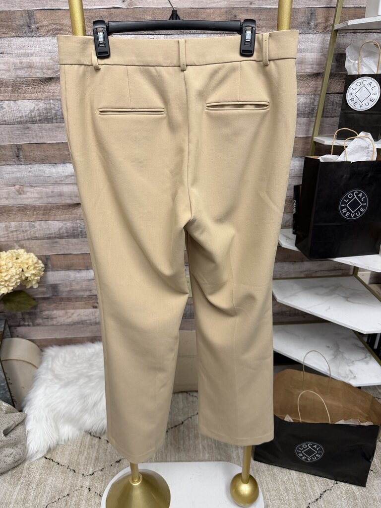 Ann Taylor Tan Straight Leg Dress Pants