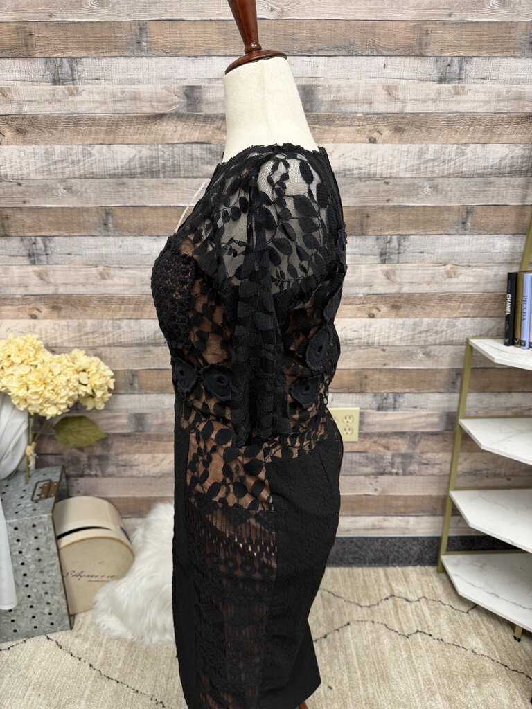 no label lace and mesh sheath dress with nude lining lining