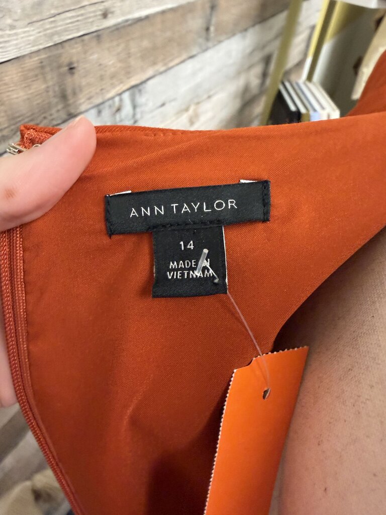Ann Taylor Orange Sleeveless Dress W/ Gold Accent
