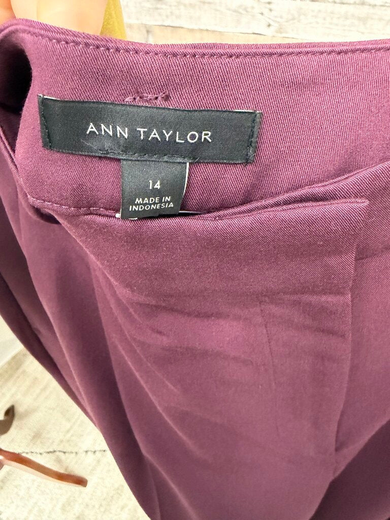 Ann Taylor Wine Dress Pant W/ Pleats