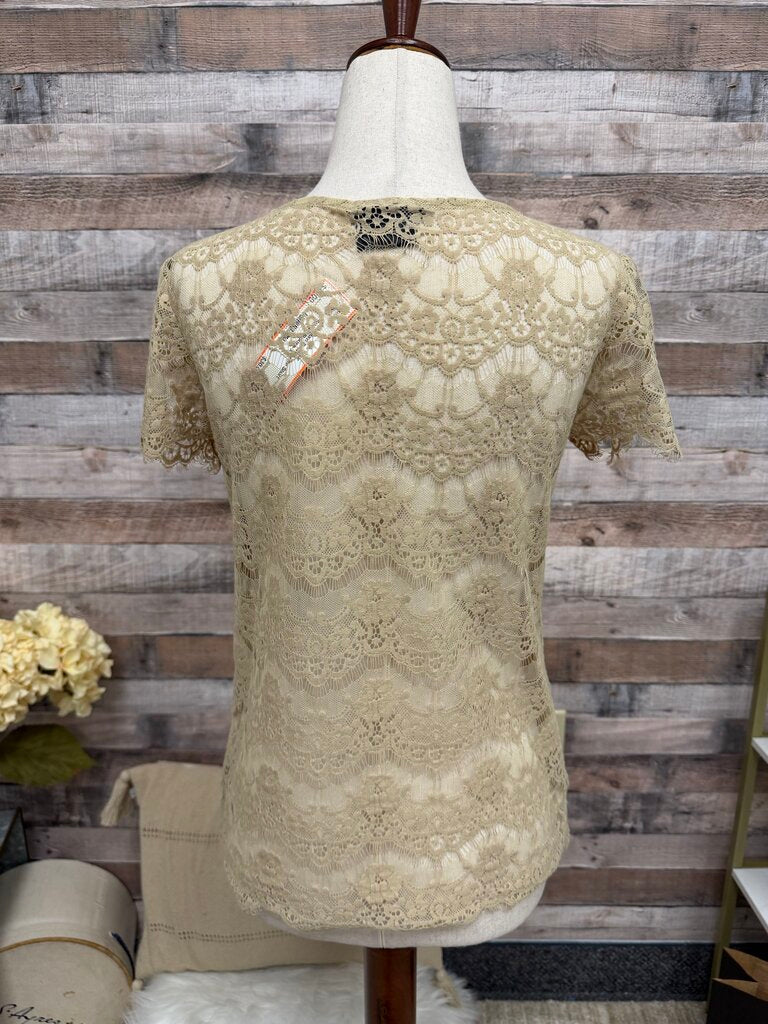 Porcelain Beige Lace Short Sleeve Blouse
