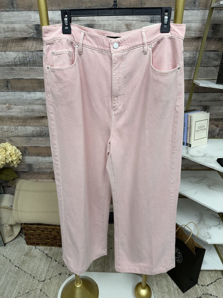 Ann Taylor NWT "The Trouser" pink wide leg pants Ann Taylor Pink 10 women PANTS